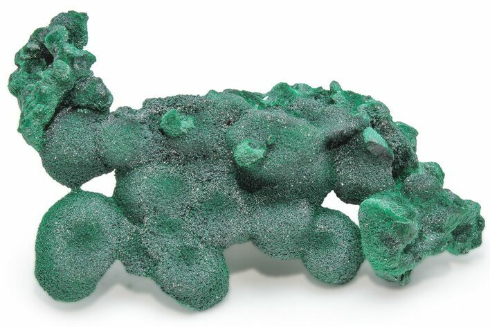 Silky, Fibrous Malachite Cluster - Congo #224011